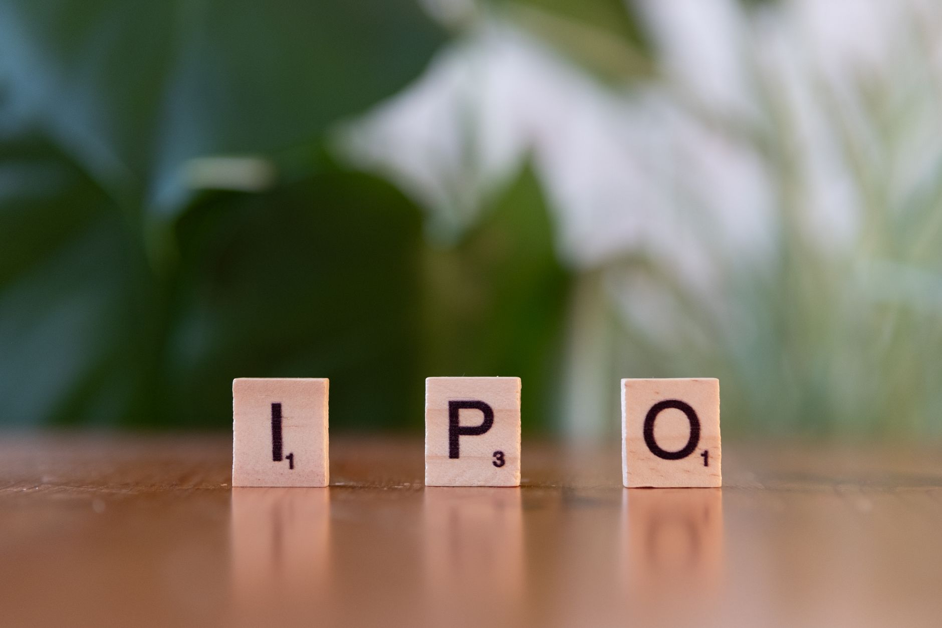 ESDS Software IPO: What Are the Expected Listing Gains?
